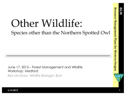 Other Wildlife Presentation Medford