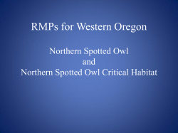 Northern Spotted Owl Presentation