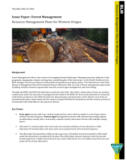 Forest Management
