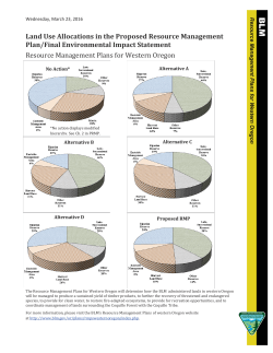 Pie Charts