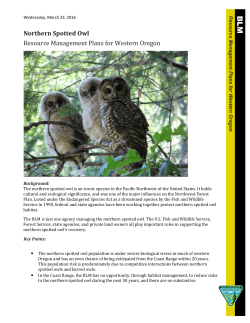 Northern Spotted Owl