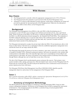 Chapter 3 - AE EC - Wild Horses, Wild and Scenic Rivers, Chapter 4, Glossary, Index