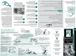 Quartzville Recreation Corridor and Back Country Byway
