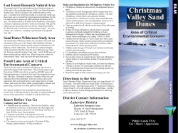 Christmas Valley Sand Dunes