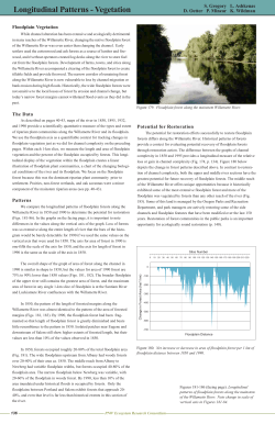 Longitudinal patterns - forests