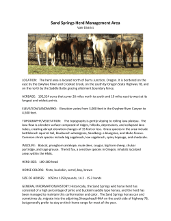 Sand Springs