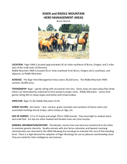 Kiger/Riddle Mountain