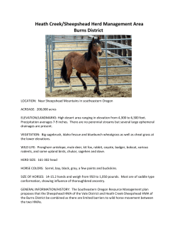 Heath Creek/Sheepshead