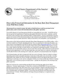 Field Observation Protocol