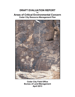 Draft Evaluation Report for Areas of Critical Environmental Concerns