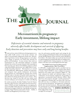 Micronutrients in pregnancy: Early investment, lifelong impact