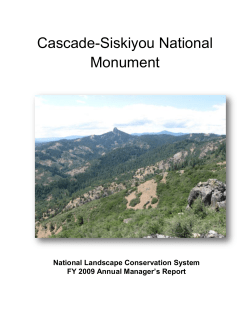 Annual Managers Report- FY 2009