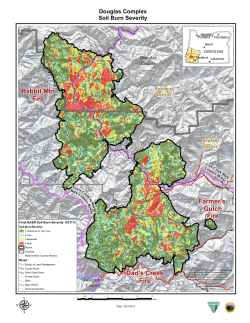 Douglas Complex Burn Severity Map