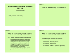 Loss of Biodiversity