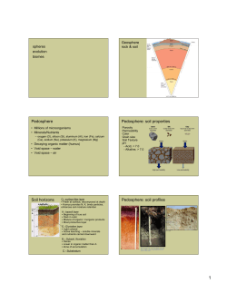 Environmental issues and Natural Capital Degradation