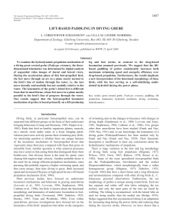 previous research