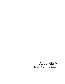 V Public Comment Report 1 KB