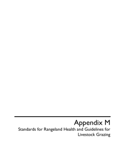 M Standards for Rangeland Health and Guidelines for Livestock Grazing 2 KB