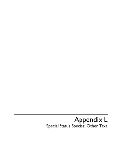 L Special Status Species: Other Taxa 1 KB