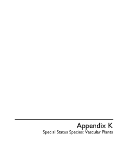 K Special Status Species: Vascular Plants 1 KB