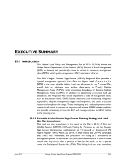 Executive Summary 273 KB