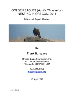 First Annual Project Report