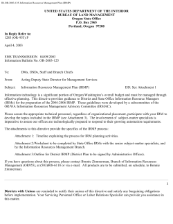 Information Resources Management Plan (IRMP)
