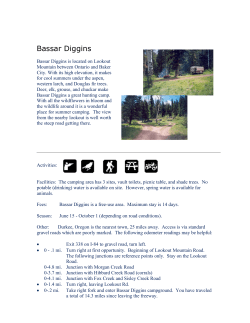 Bassar Diggins