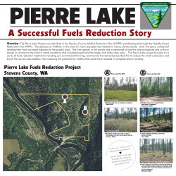 Success Story - Pierre Lake
