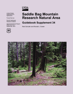 saddlebagmountain