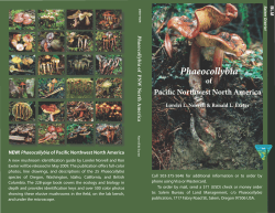 Phaeocollybia of Pacific Northwest North America 700 KB