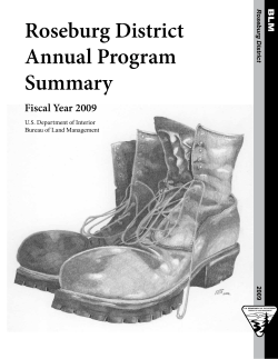 Annual Program Summary and Monitoring Report Fiscal Year 2009