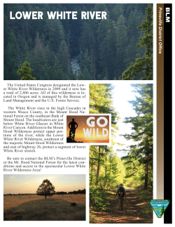 Oregon Lower White River Wilderness Map and Guide brochure