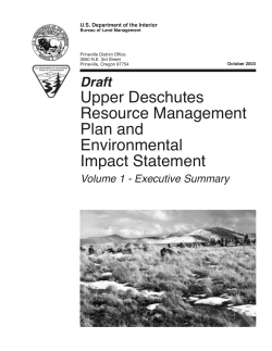 Draft Environmental Impact Statement volume 1