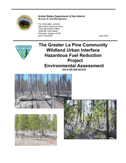 Environmental Assessment