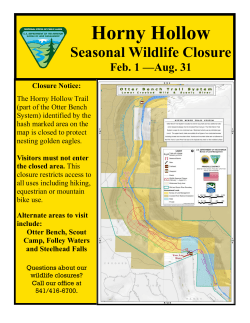 Horny Hollow - Closed Feb. 1 - August 31