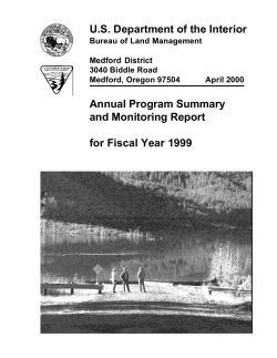 Annual Program Summary 1999