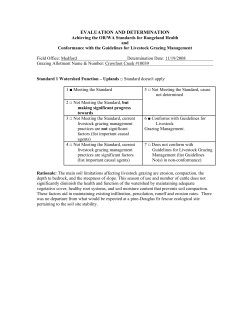 Crowfoot Creek Determination