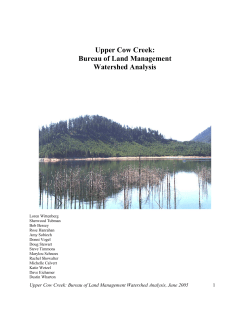 Upper Cow Creek Watershed Analysis