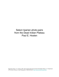 Appendix-Select riparian photo-pairs from the Dead Indian Plateau