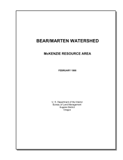Bear/Marten Watershed Analysis