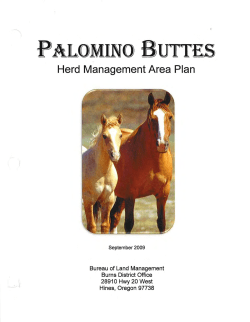 Palomino Buttes (2009)