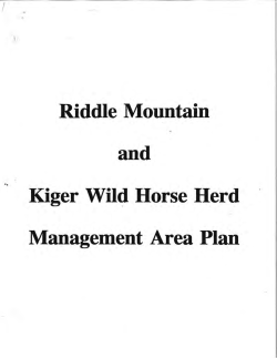 Kiger and Riddle Mountain (1996)