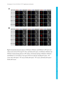 Supplementary information