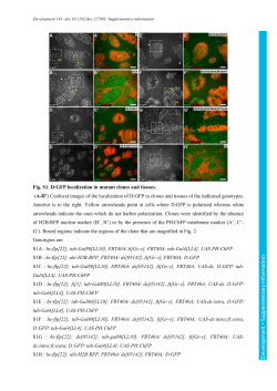 Supplementary information