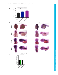 Supplementary information
