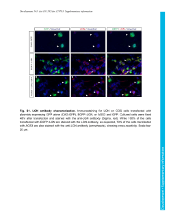 Supplementary information