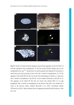 Supplementary information