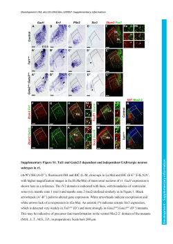 Supplementary information