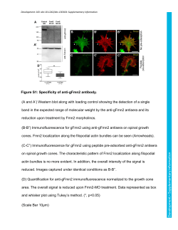 Supplementary information
